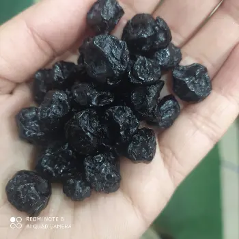 Organic Dried Blueberries